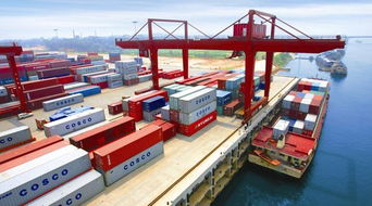 商貿物流標準化專項行動落地實施，90家重點單位助推貨物進出口升級