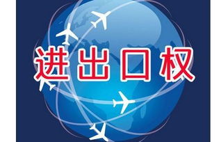 上海外貿公司如何辦理進出口權資質申請與廣告設計業(yè)務拓展