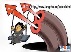 專業(yè)進出口代理一站式服務，助力企業(yè)實現(xiàn)貿易增長